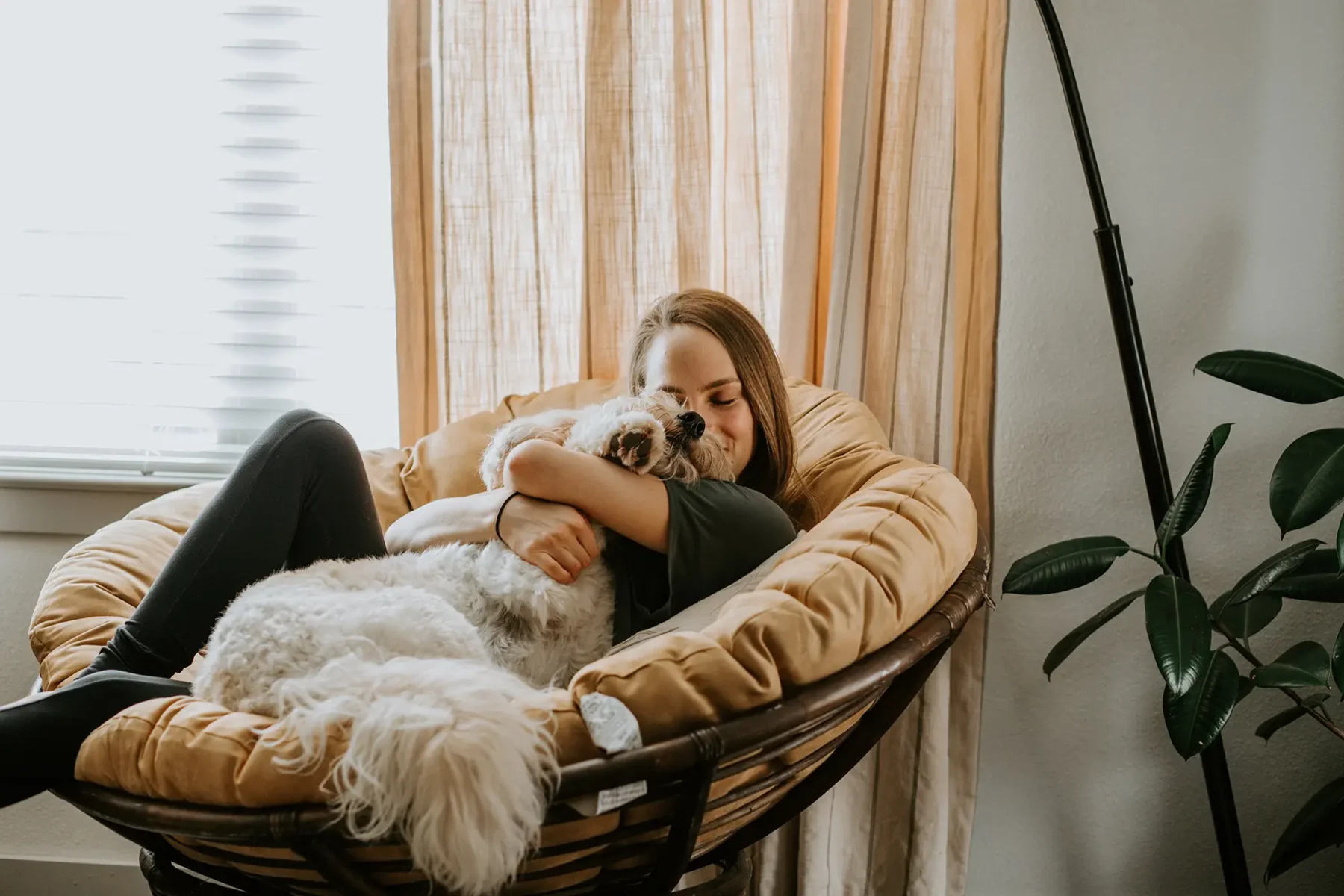 Woman sitting in an armchair with a dog