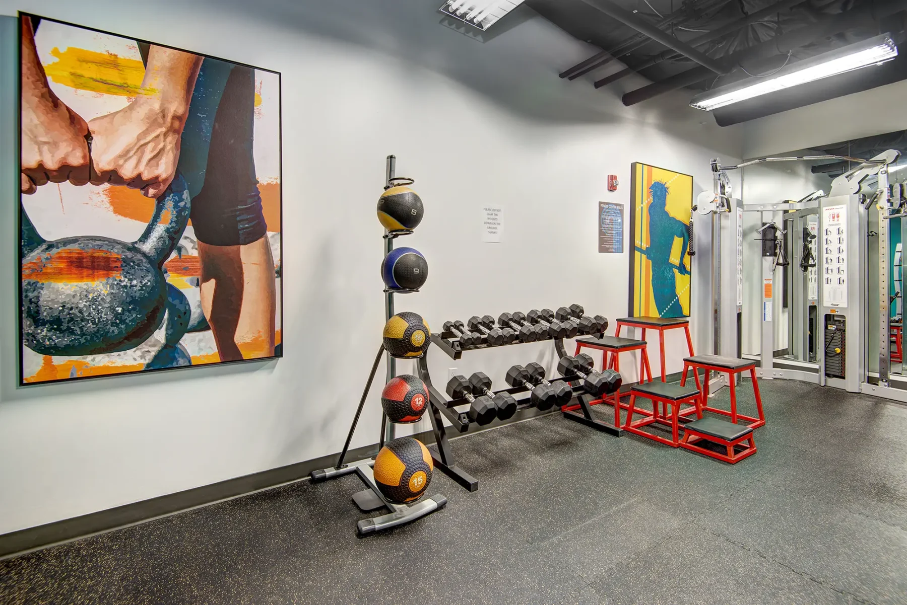 Fitness center with free weights and strength training machines